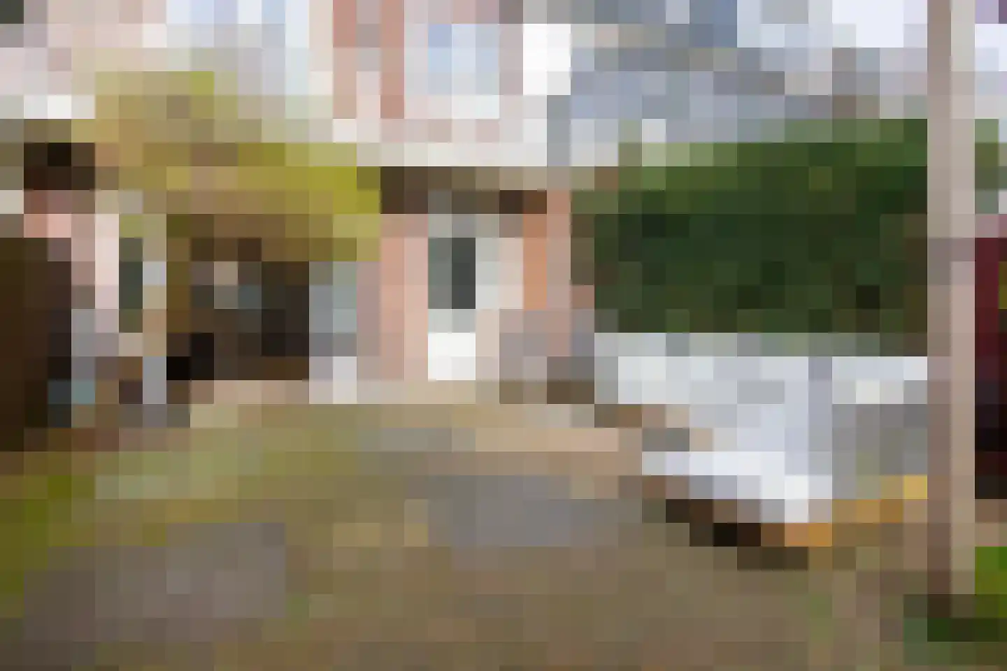 Jan Haringstraat 41 Haarlem thumbnail 23