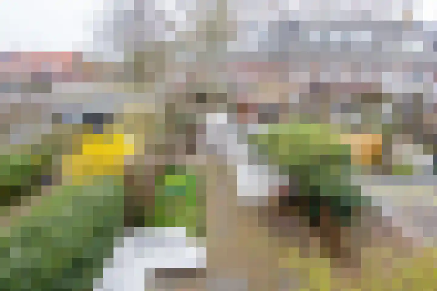 Jan Haringstraat 41 Haarlem thumbnail 36