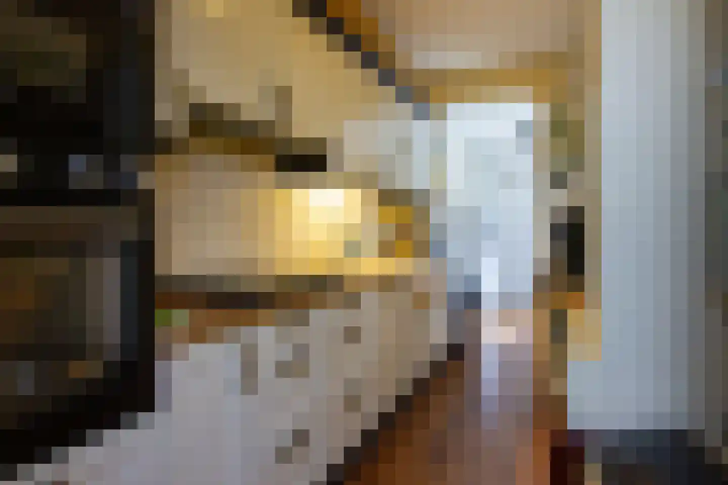Jan Haringstraat 69 Haarlem thumbnail 12