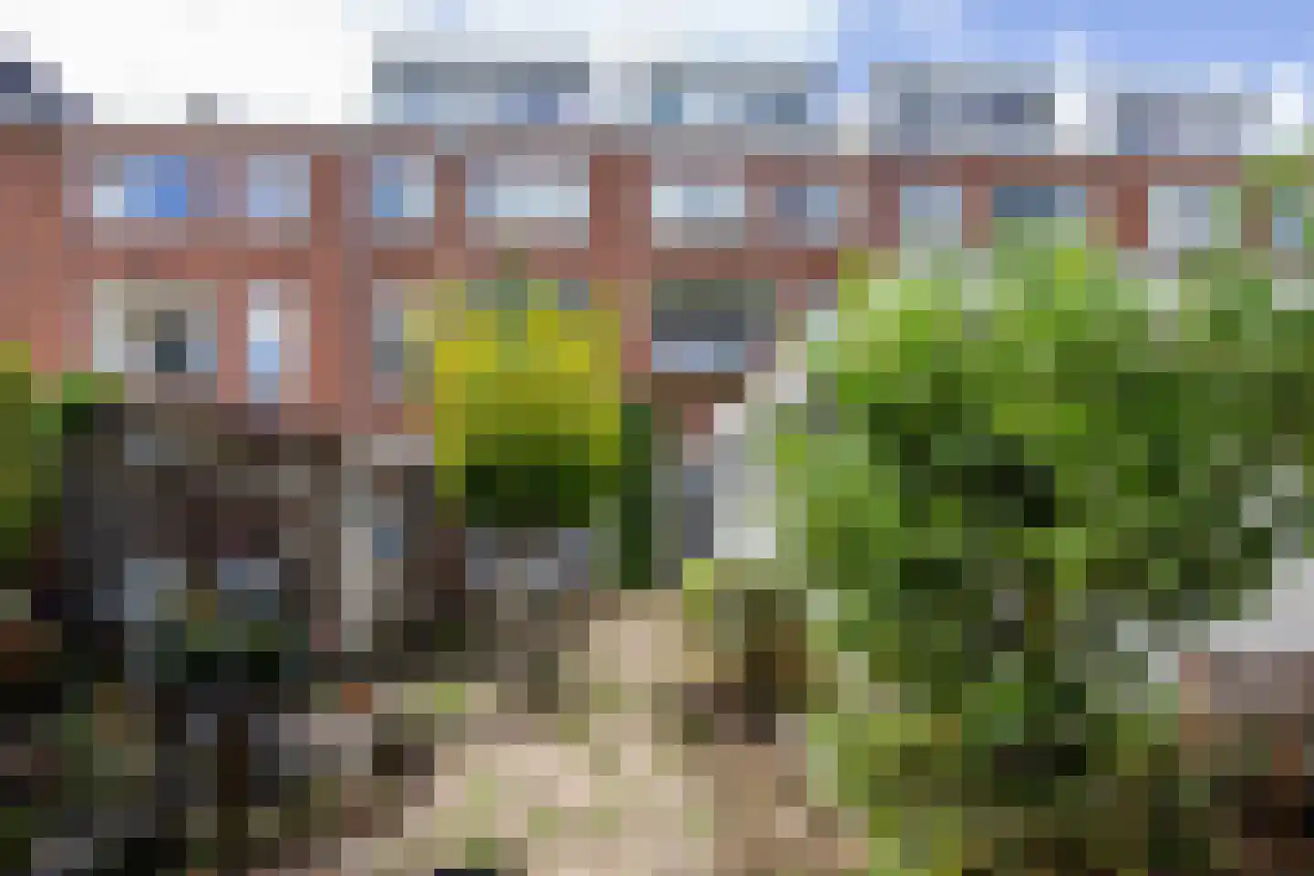 Jan Haringstraat 69 Haarlem thumbnail 20