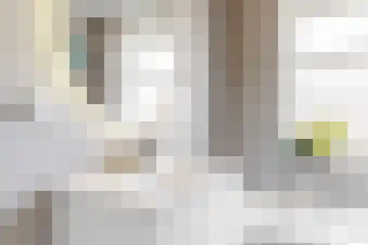 Jan Heesjesstraat 21 Blokker thumbnail 20