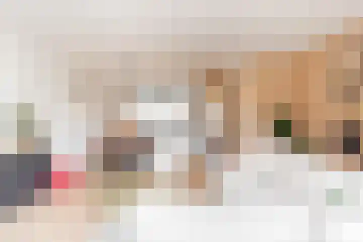 Jan Heesjesstraat 21 Blokker thumbnail 4
