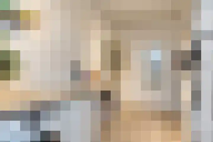 Jan Heijmanslaan 17 Rosmalen thumbnail 17