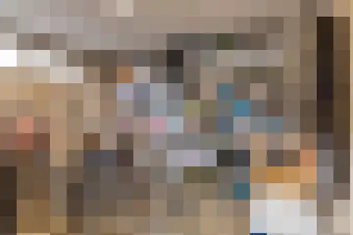 Jan Heijmanslaan 17 Rosmalen thumbnail 23