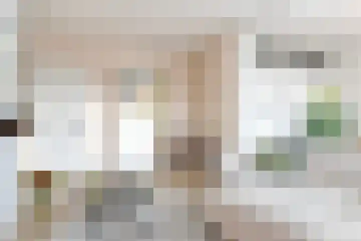 Jan Heijmanslaan 17 Rosmalen thumbnail 4