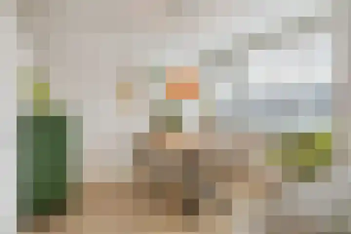 Jan Heijmanslaan 17 Rosmalen thumbnail 6