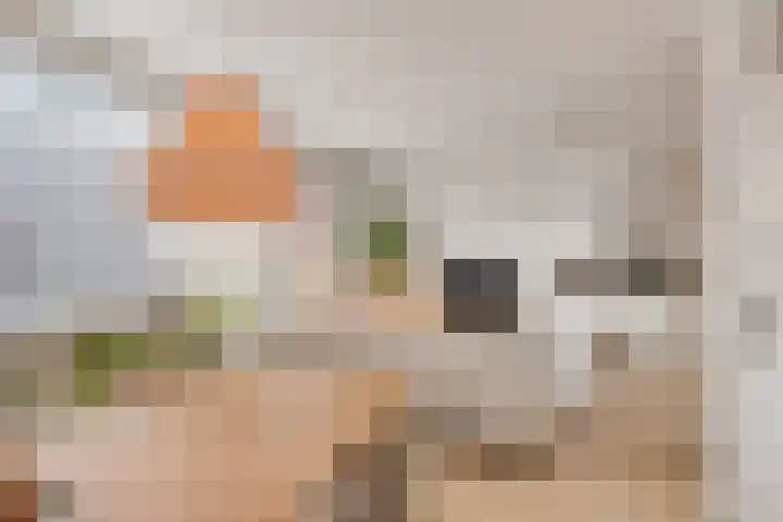 Jan Heijmanslaan 17 Rosmalen thumbnail 7