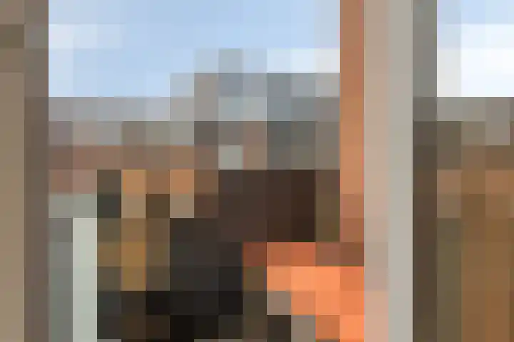 Jan Heijmanslaan 17 Rosmalen thumbnail 9