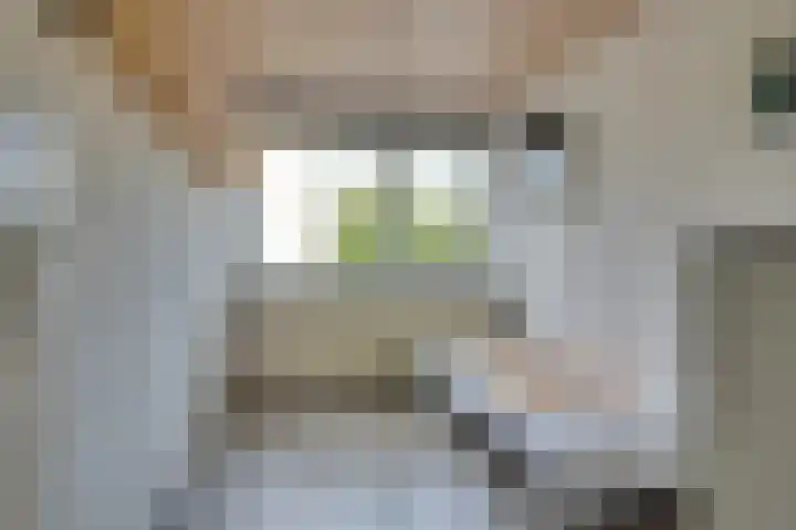 Jan Heijmanslaan 181 Rosmalen thumbnail 15