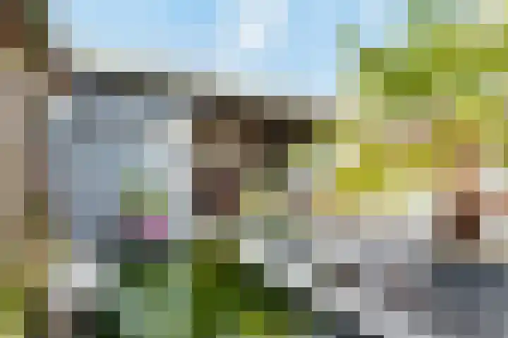 Jan Heijmanslaan 181 Rosmalen thumbnail 22