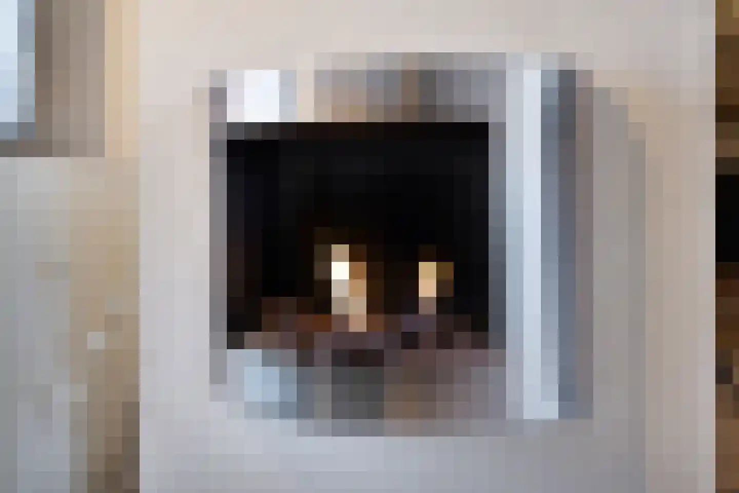 Jan Heijmanslaan 25 Rosmalen thumbnail 18