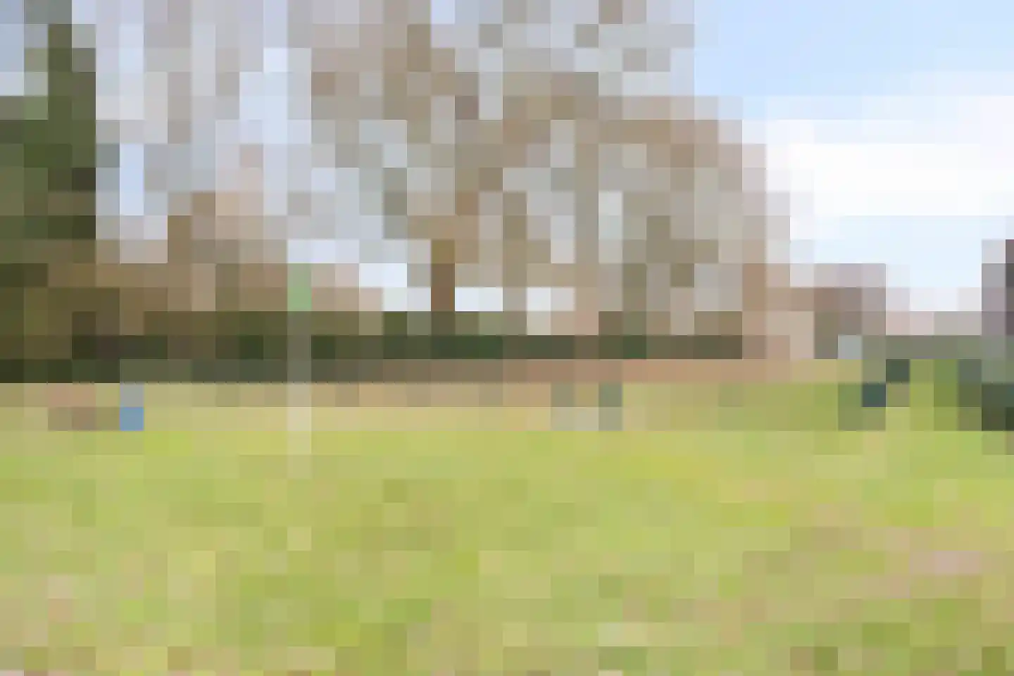 Jan Heijmanslaan 25 Rosmalen thumbnail 39