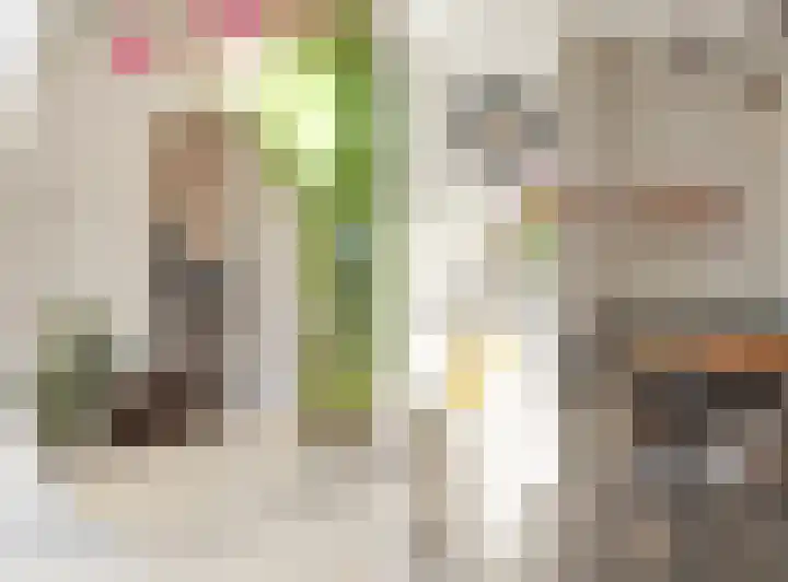 Jan Heijmanslaan 29 Rosmalen thumbnail 18