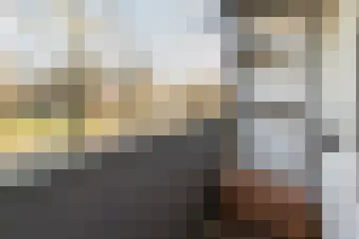 Jan Heijmanslaan 29 Rosmalen thumbnail 33