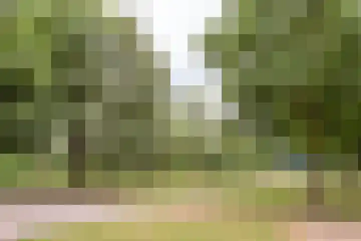 Jan Heijmanslaan 29 Rosmalen thumbnail 38
