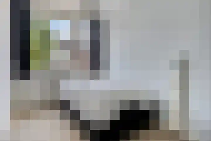 Jan Heijmanslaan 33 Rosmalen thumbnail 11
