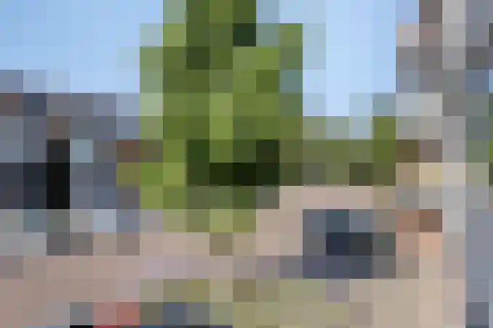Jan Heijmanslaan 33 Rosmalen thumbnail 16