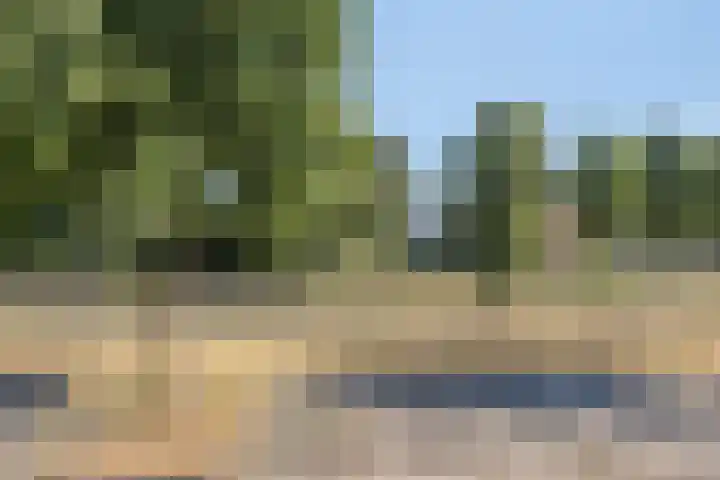 Jan Heijmanslaan 33 Rosmalen thumbnail 28