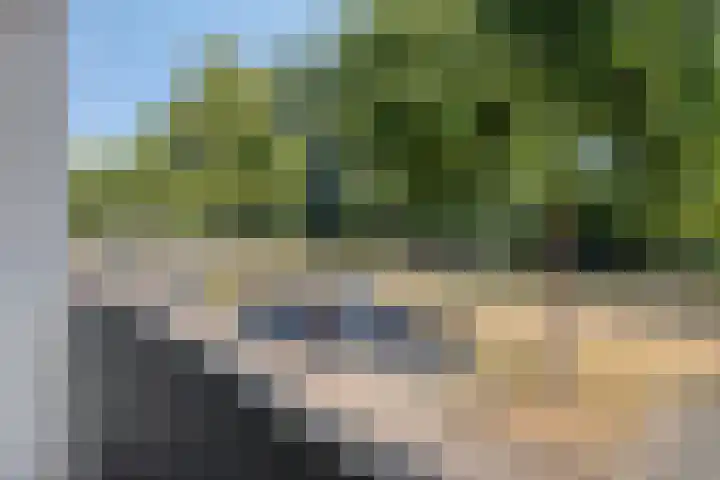 Jan Heijmanslaan 33 Rosmalen thumbnail 29