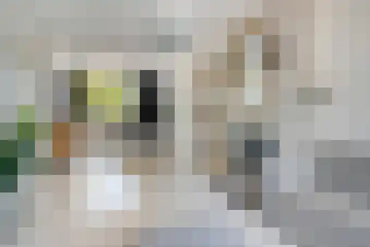 Jan Heijmanslaan 33 Rosmalen thumbnail 5