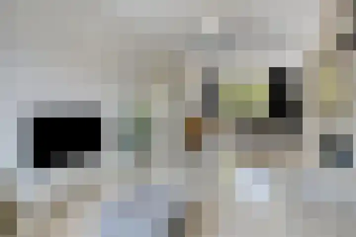 Jan Heijmanslaan 33 Rosmalen thumbnail 6
