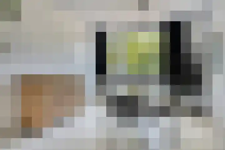 Jan Heijmanslaan 33 Rosmalen thumbnail 8