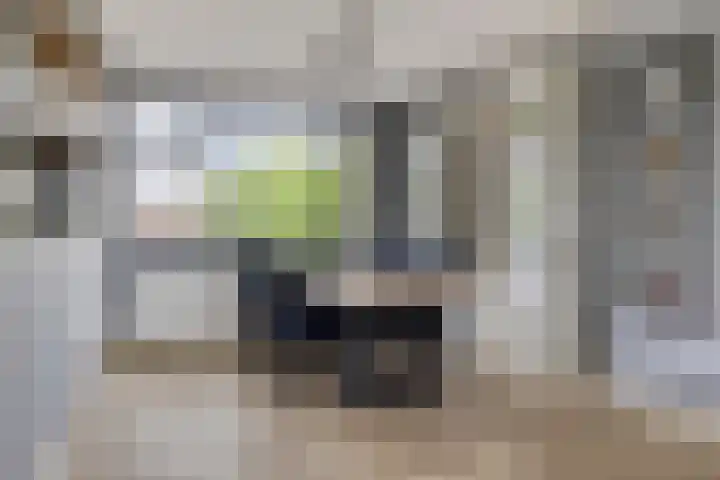 Jan Heijmanslaan 59 Rosmalen thumbnail 10