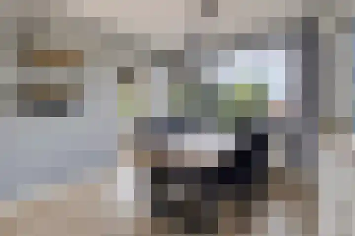 Jan Heijmanslaan 59 Rosmalen thumbnail 11