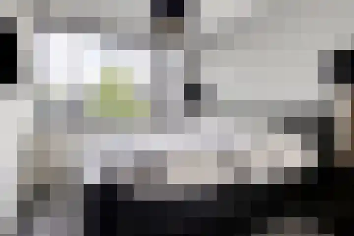 Jan Heijmanslaan 59 Rosmalen thumbnail 14