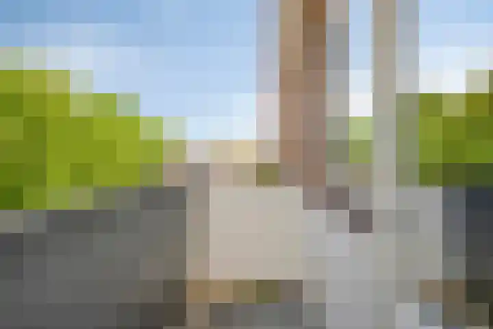 Jan Heijmanslaan 59 Rosmalen thumbnail 20