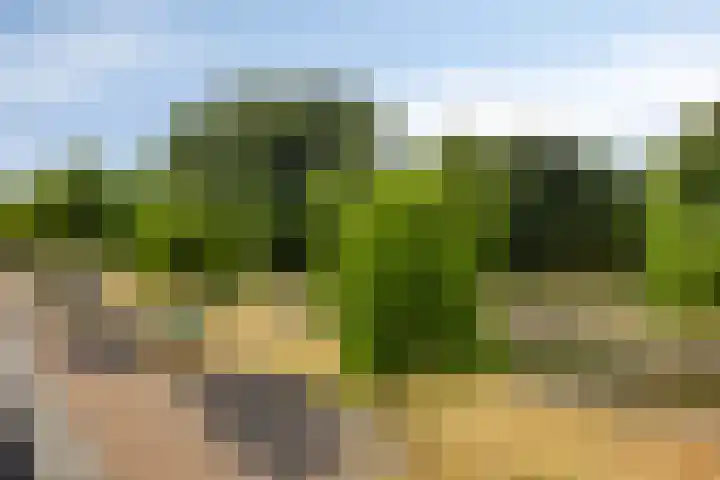 Jan Heijmanslaan 59 Rosmalen thumbnail 21