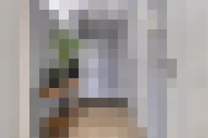 Jan Heijmanslaan 59 Rosmalen thumbnail 7