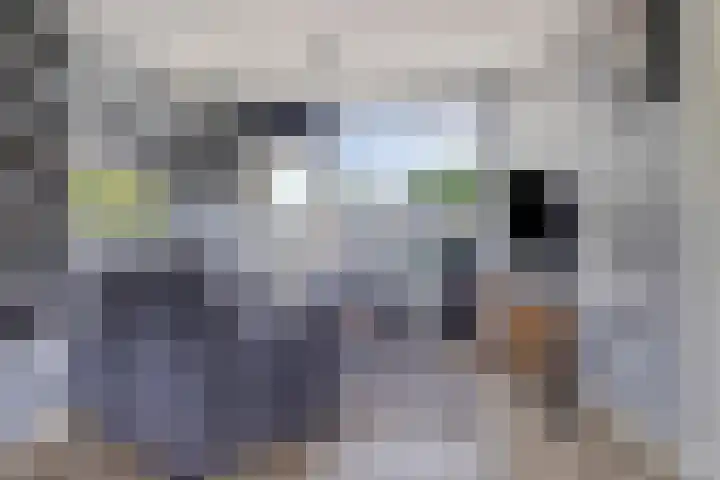 Jan Heijmanslaan 59 Rosmalen thumbnail 8