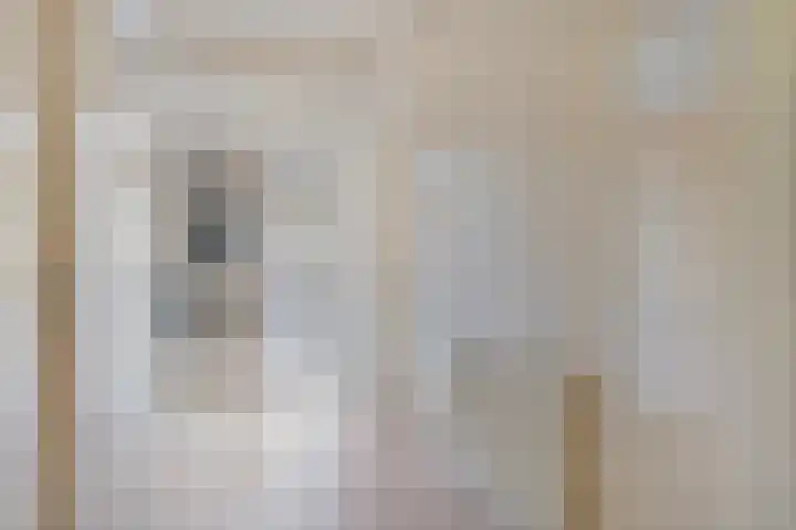 Jan Heijmanslaan 61 Rosmalen thumbnail 8