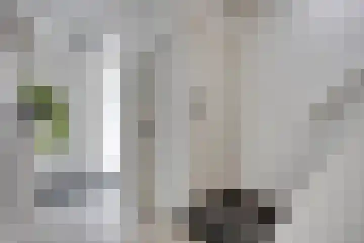 Jan Heijmanslaan 65 Rosmalen thumbnail 14