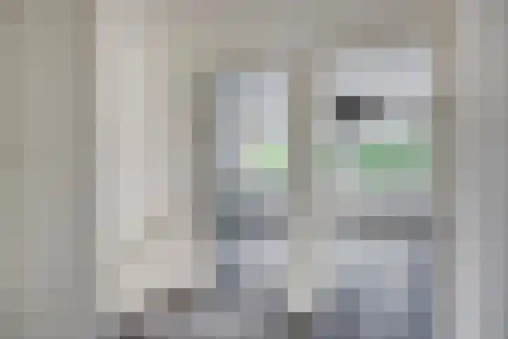 Jan Heijmanslaan 65 Rosmalen thumbnail 22