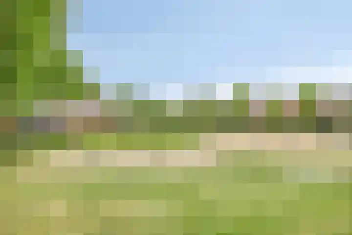 Jan Heijmanslaan 65 Rosmalen thumbnail 27