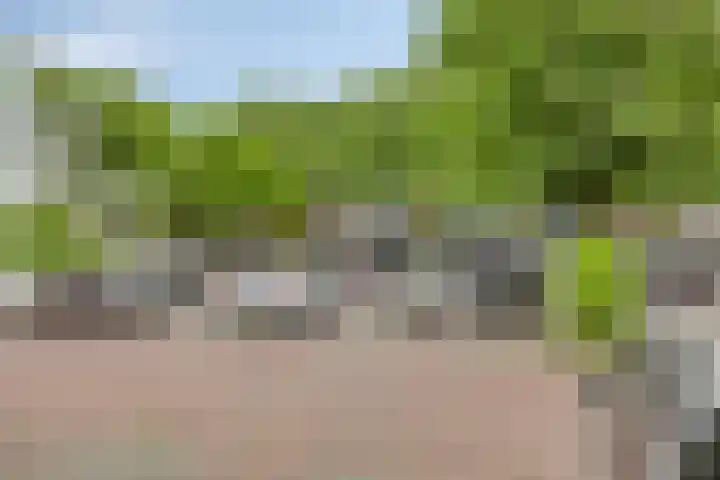 Jan Heijmanslaan 65 Rosmalen thumbnail 30