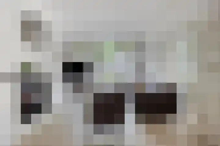 Jan Heijmanslaan 65 Rosmalen thumbnail 4