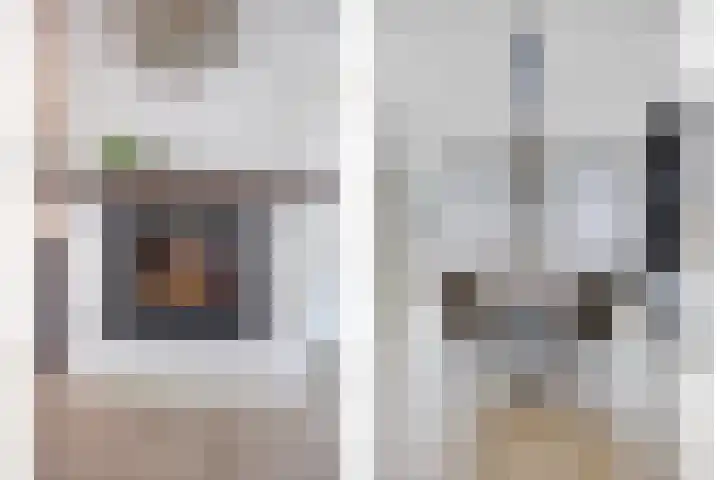 Jan Heijmanslaan 65 Rosmalen thumbnail 7