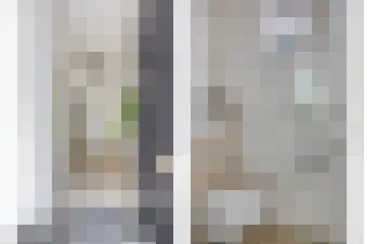 Jan Heijmanslaan 65 Rosmalen thumbnail 8