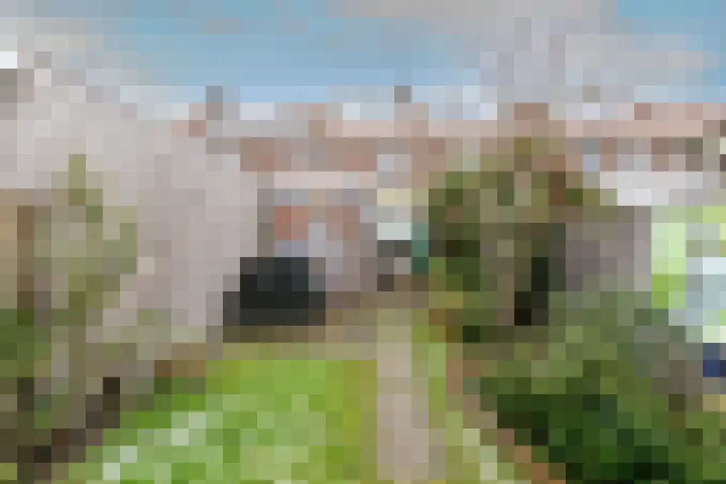 Jan Heijnsstraat 27 Tilburg thumbnail 40