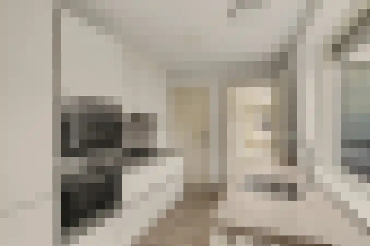 Jan Heijnsstraat 39 Tilburg thumbnail 7