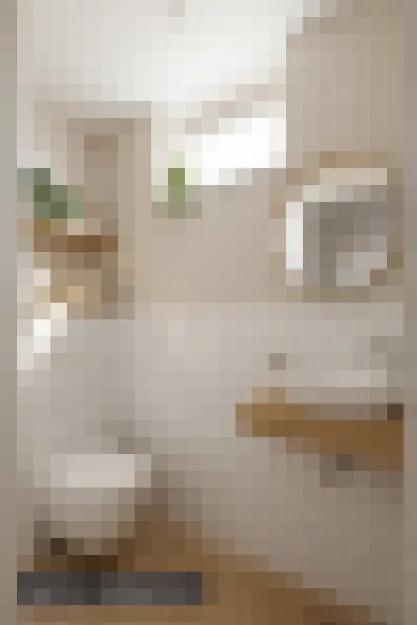 Jan Heijnsstraat 49 Tilburg thumbnail 16