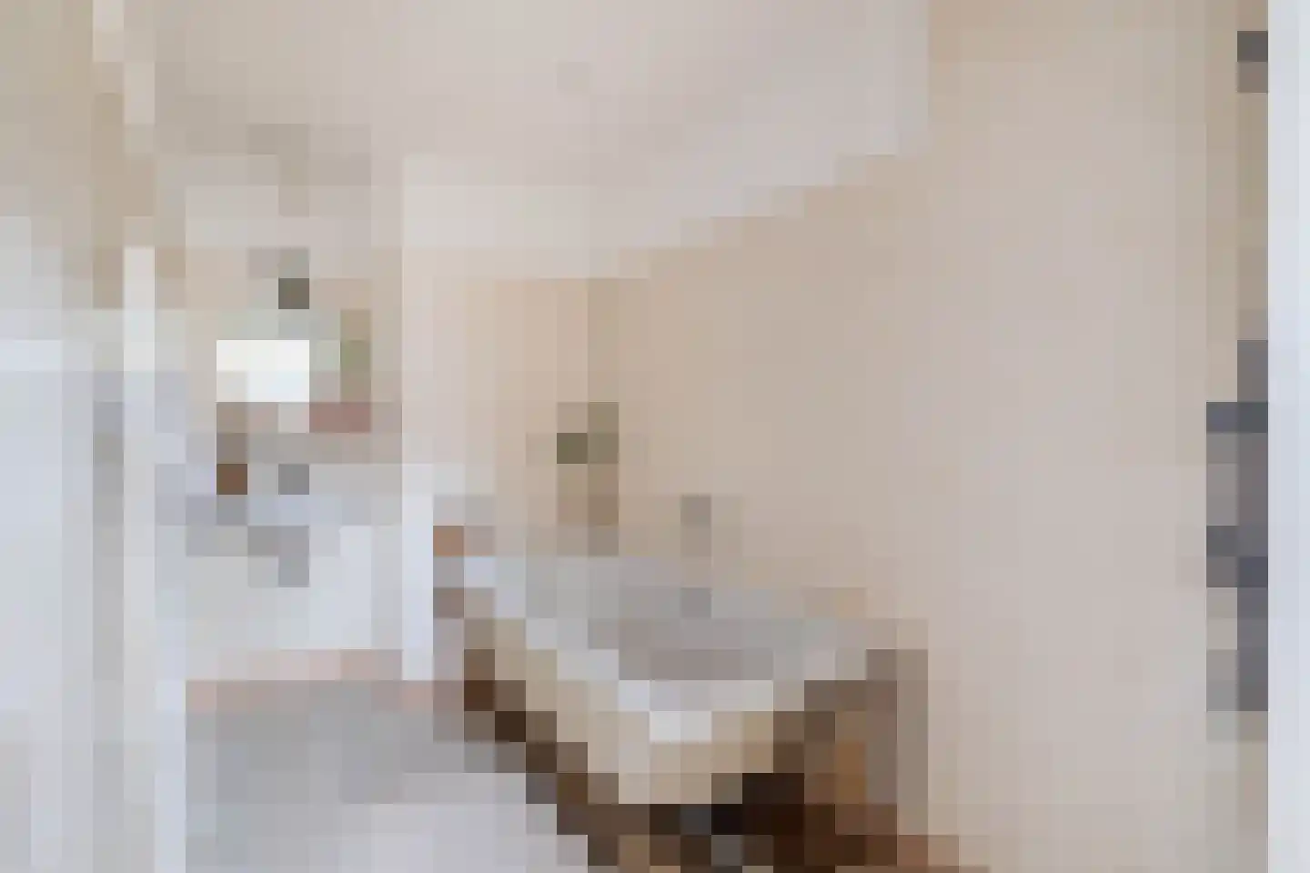 Jan Heijnsstraat 49 Tilburg thumbnail 17