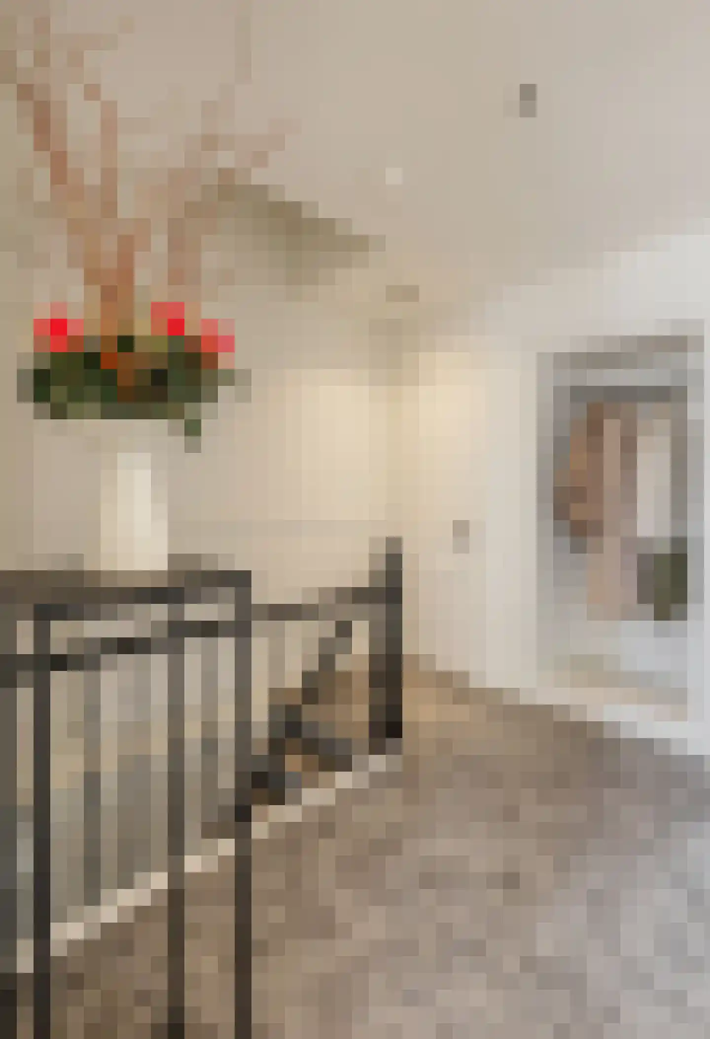Jan Heinsstraat 18 's-Hertogenbosch thumbnail 18