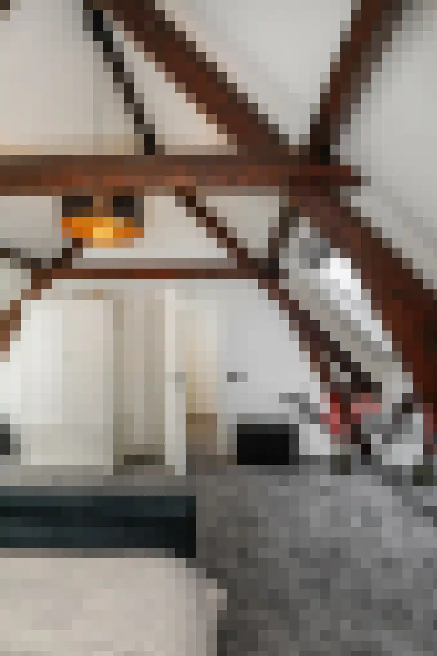Jan Heinsstraat 18 's-Hertogenbosch thumbnail 28