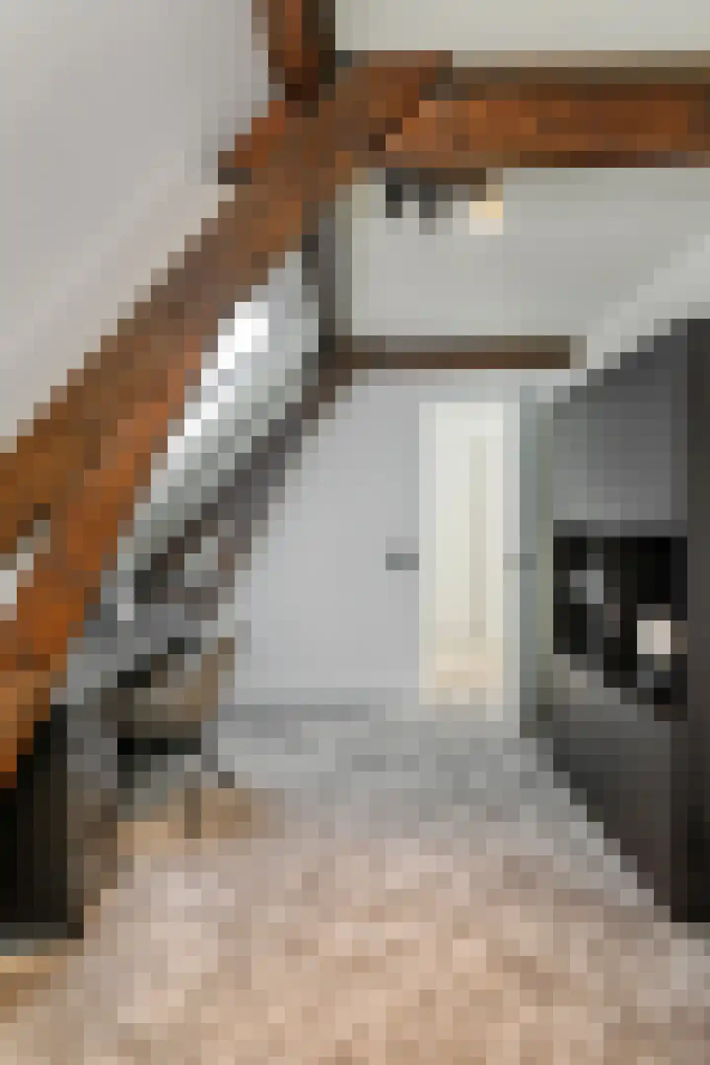 Jan Heinsstraat 18 's-Hertogenbosch thumbnail 33
