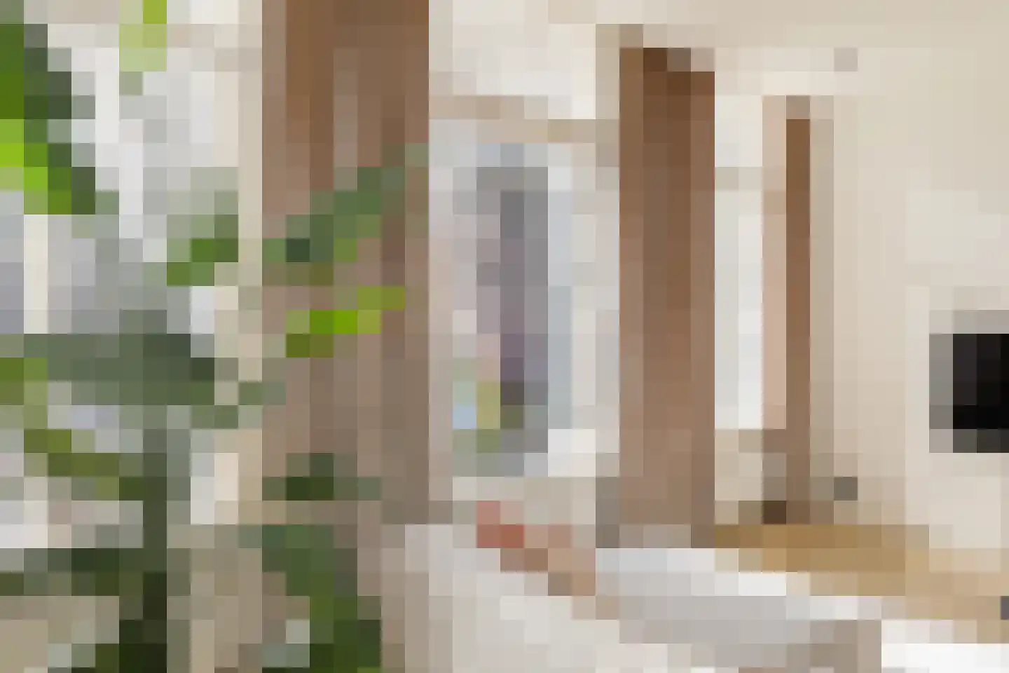 Jan Heinsstraat 18 's-Hertogenbosch thumbnail 7