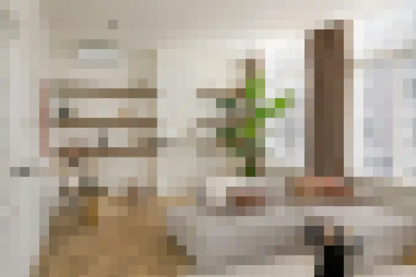 Jan Heinsstraat 18 's-Hertogenbosch thumbnail 8